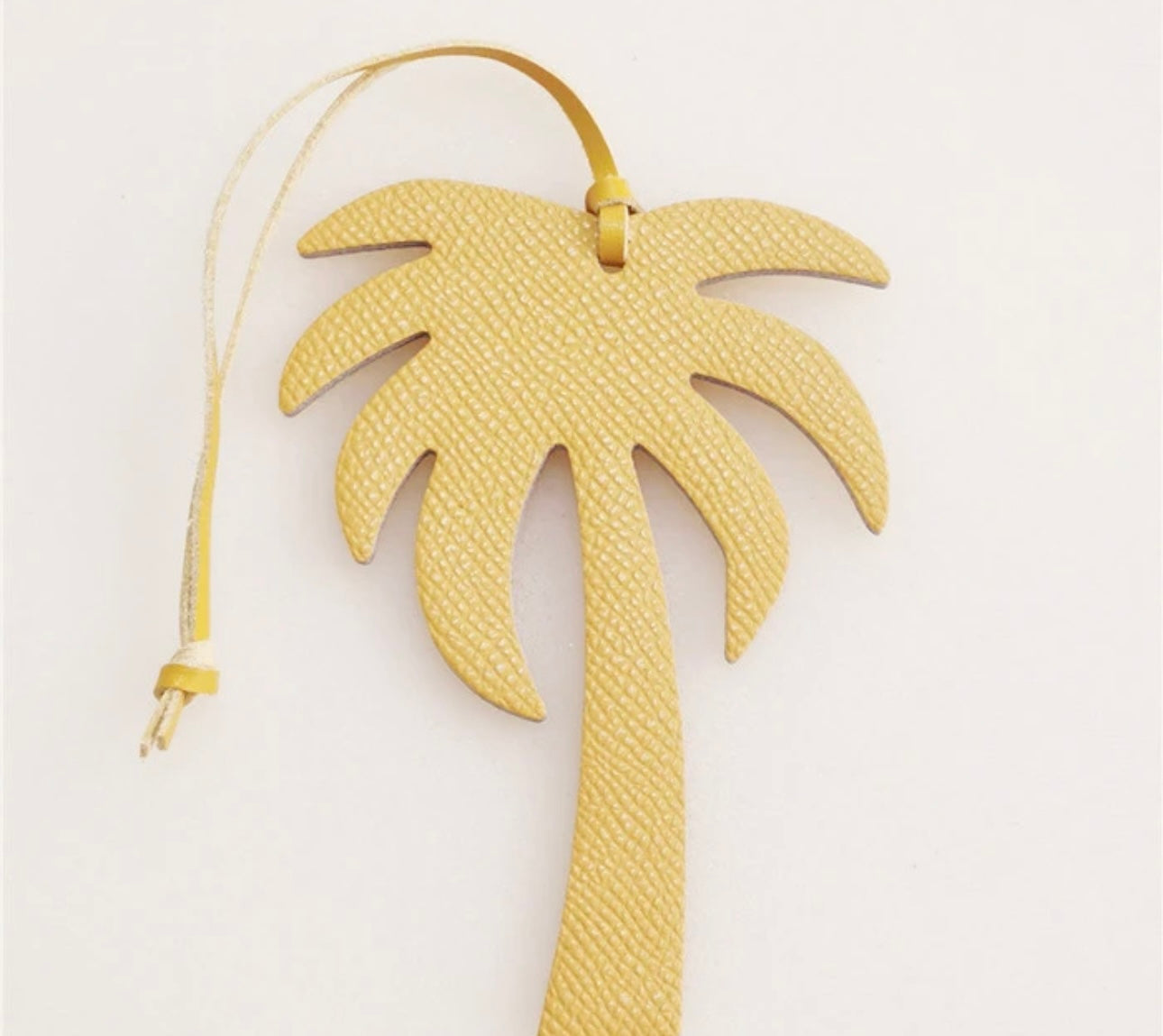 Palm JAUNE