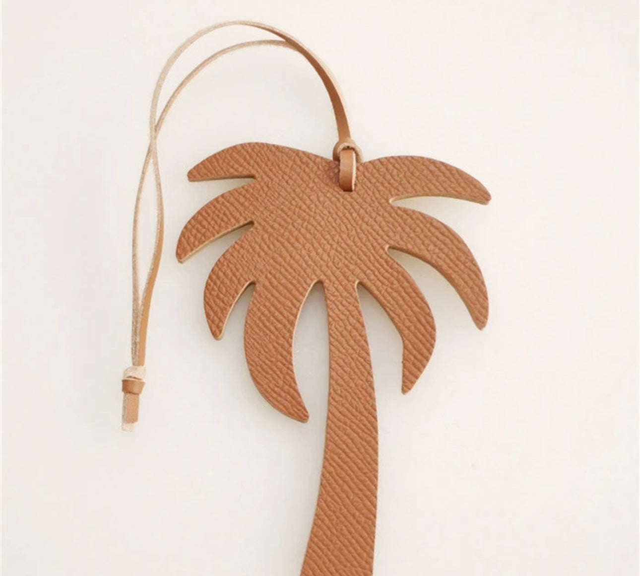 Palm CAMEL